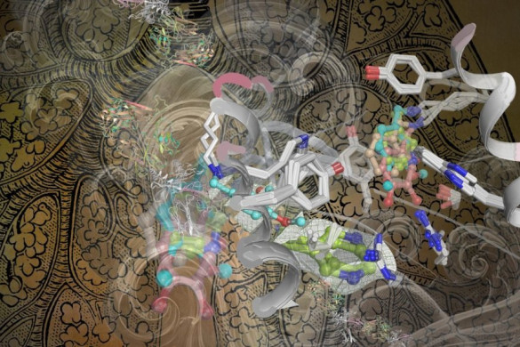 Smoking and Vaping Alters Key Lung Cells, Increasing Disease Risks