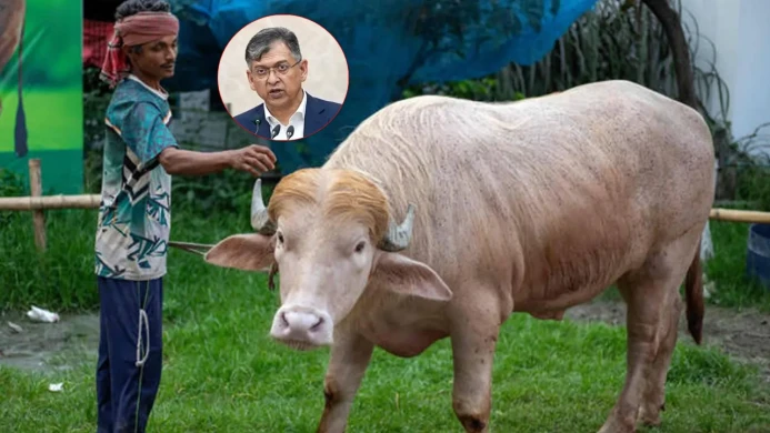 স্বরাষ্ট্রমন্ত্রীর হস্তক্ষেপে কোরবানি দিচ্ছে না ‘ডোনাল্ড ট্রাম্পকে’