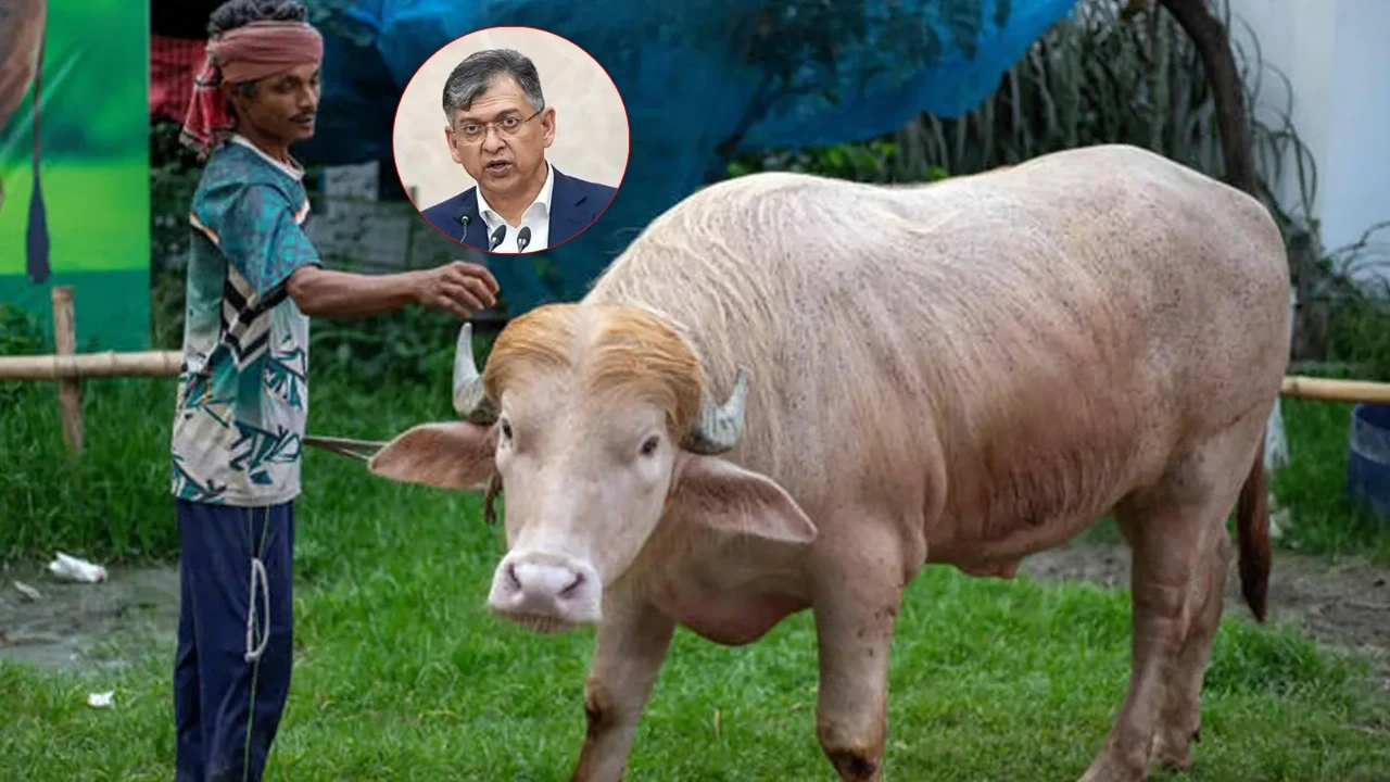 স্বরাষ্ট্রমন্ত্রীর হস্তক্ষেপে কোরবানি দিচ্ছে না ‘ডোনাল্ড ট্রাম্পকে’