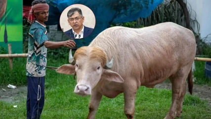 স্বরাষ্ট্রমন্ত্রীর হস্তক্ষেপে কোরবানি দিচ্ছে না ‘ডোনাল্ড ট্রাম্পকে’