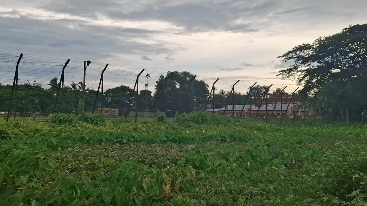মৌলভীবাজারের সীমান্তে বিএসএফের গুলিতে বাংলাদেশি নিহত