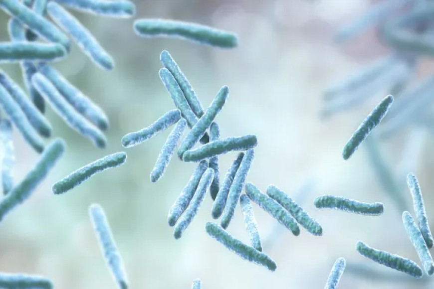 Two dead, dozens sickened in Kansas tuberculosis outbreak