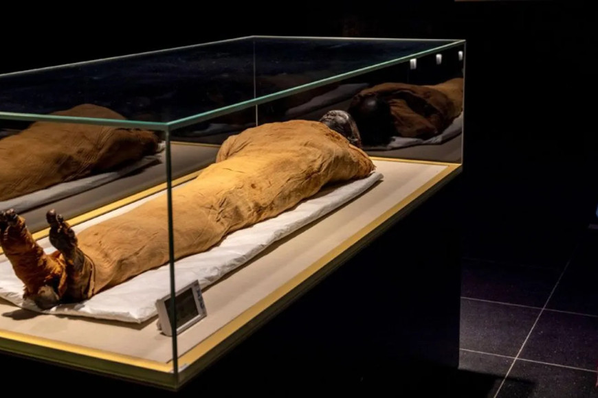 First pharaoh's tomb found in Egypt since Tutankhamun's