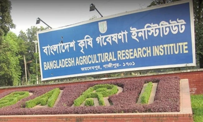 পরীক্ষা ছাড়াই কৃষি গবেষণা ইনস্টিটিউটে ৪২ জনের নিয়োগ, তদন্তে জালিয়াতির প্রমাণ