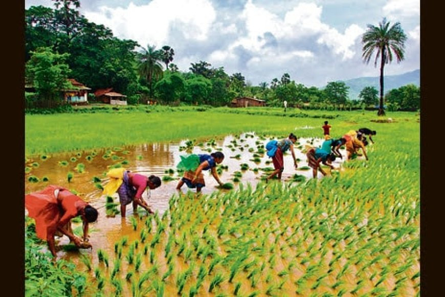 India will launch a new programme across 100 districts to boost farm productivity along with measures to expand irrigation and credit limit to farmers