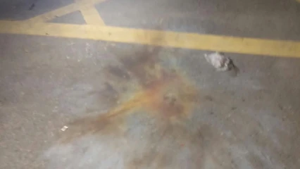 প্রধানমন্ত্রীর কার্যালয়ের সামনে মধ্যরাতে ককটেল বিস্ফোরণ