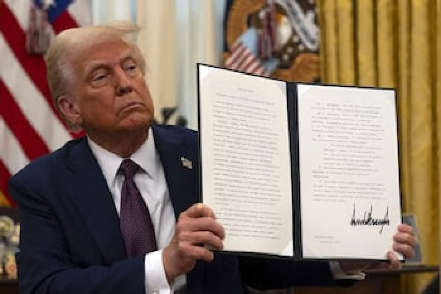 Trump pauses all US foreign aid for 90 days; orders review; NGOs decry move