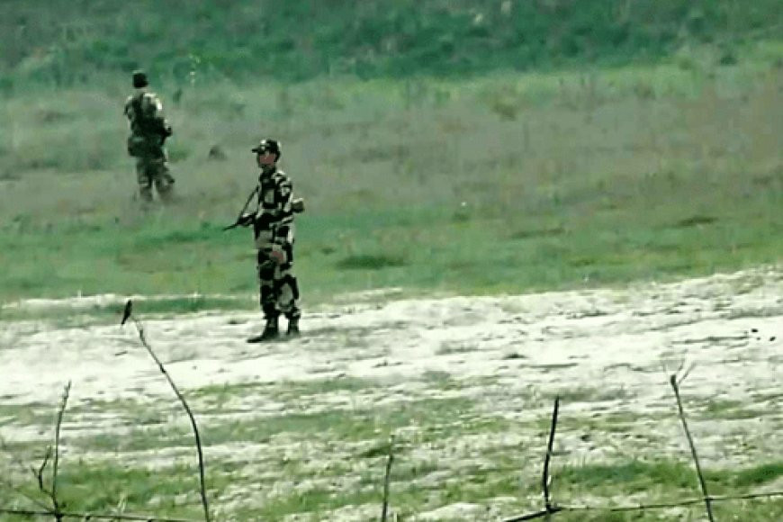 BSF killed 41 Bangladeshis in Benapole border in 15 years!