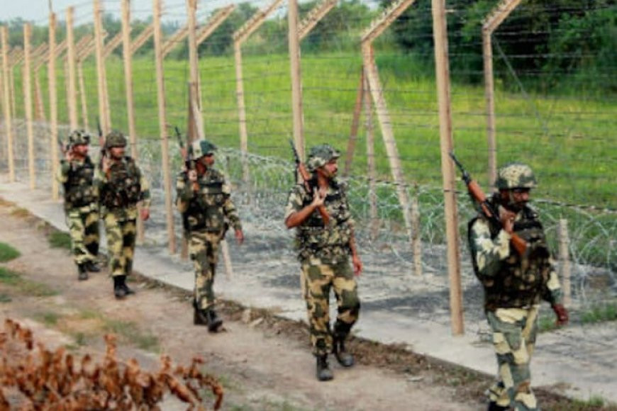 BSF Jawans Attacked By Cattle Smugglers At India-Bangladesh Border