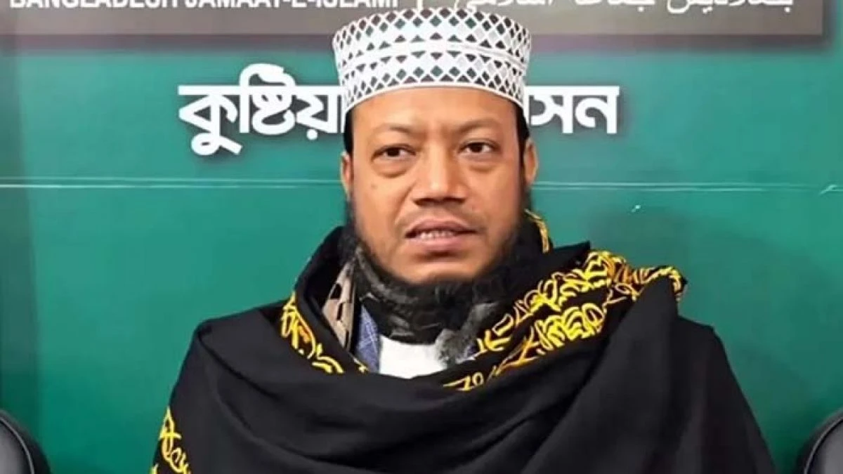 মানহানির মামলায় হাইকোর্টে জামিন পেলেন আমির হামজা