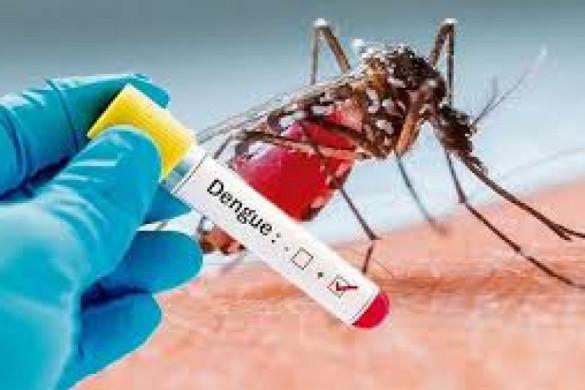2 dengue patients die in last 24hrs