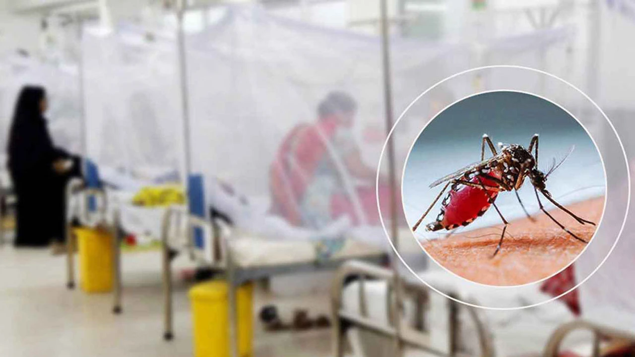 ডেঙ্গু ক্রমেই বাড়ছে, একদিনে ৯৮৩ জন হাসপাতালে ভর্তি, মৃত্যু ৬