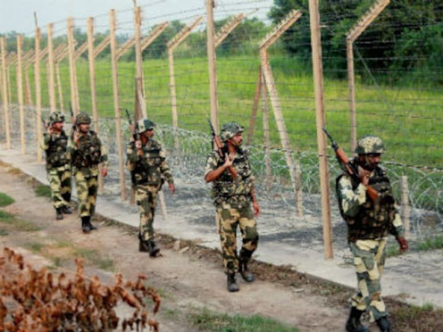 BSF Jawans Attacked By Cattle Smugglers At India-Bangladesh Border