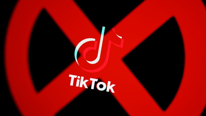 Ban TikTok here too!’ Head of major media company calls for EU embargo on Chinese app