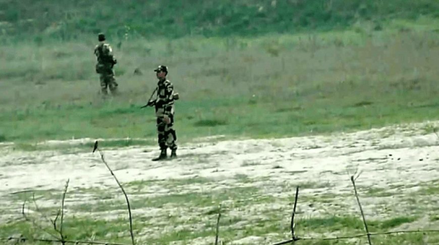 BSF killed 41 Bangladeshis in Benapole border in 15 years!