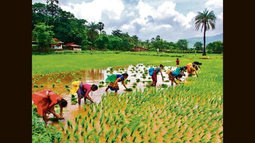 India will launch a new programme across 100 districts to boost farm productivity along with measures to expand irrigation and credit limit to farmers