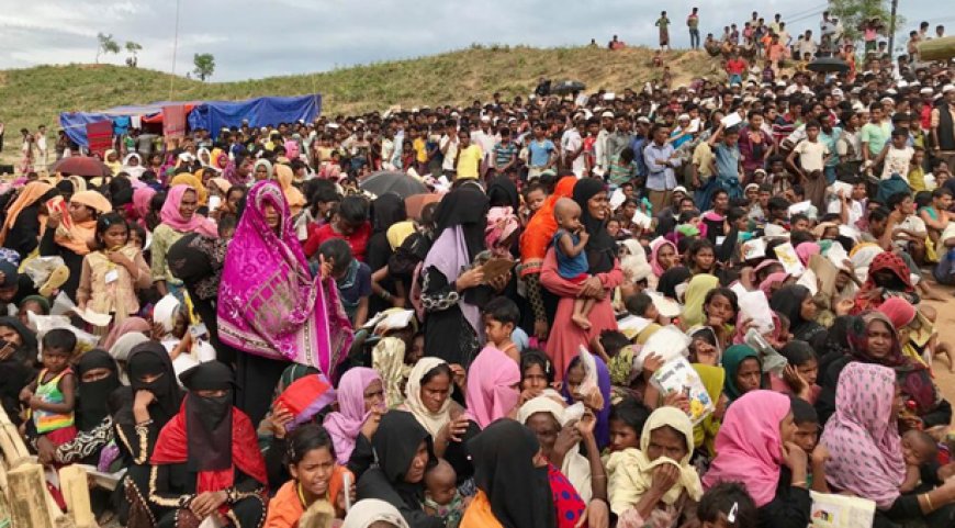 Rohingya crisis is global issue