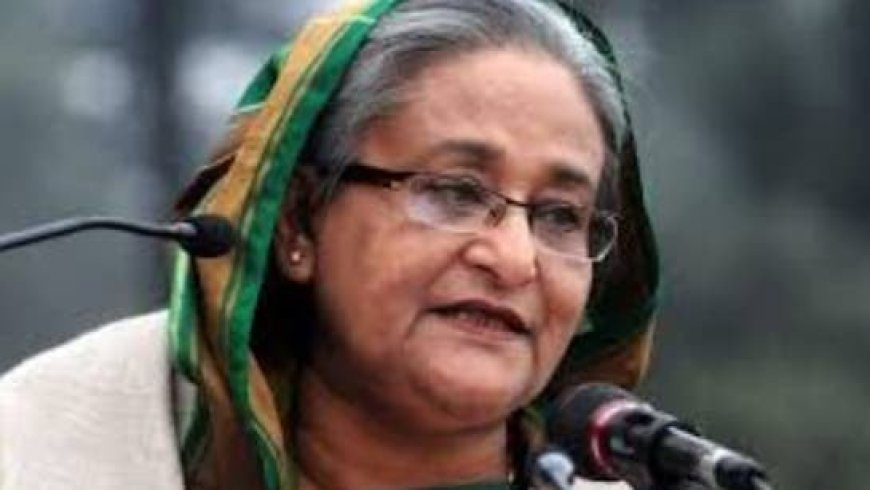 Sheikh Hasina's Comments "Made In Individual Capacity": India To Bangladesh