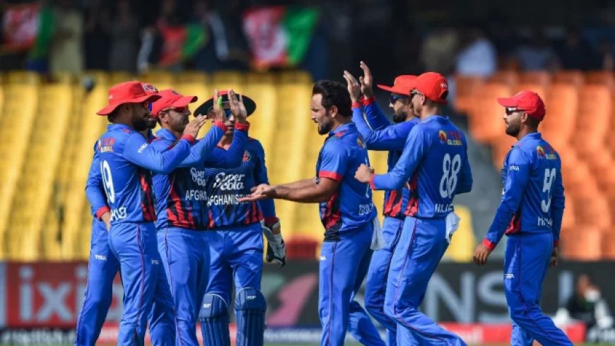 Shahidi: Afghanistan team can ignore boycott calls