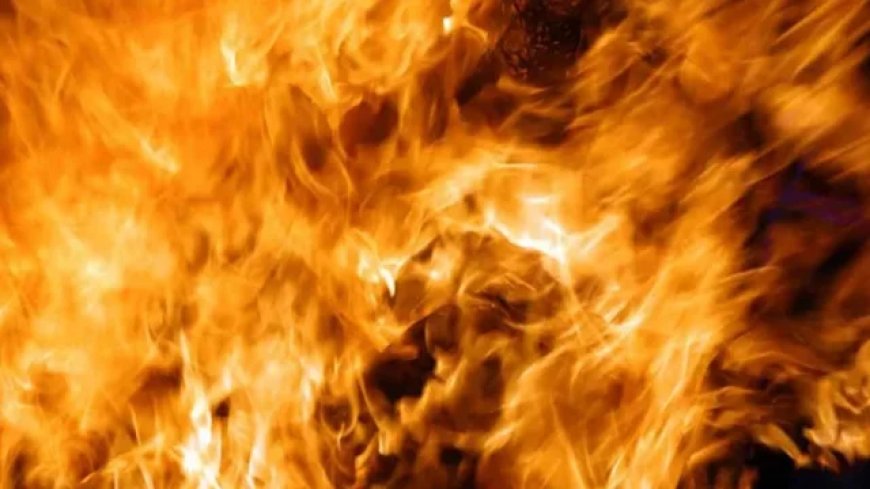 3 of a family burnt in Ashulia gas cylinder explosion