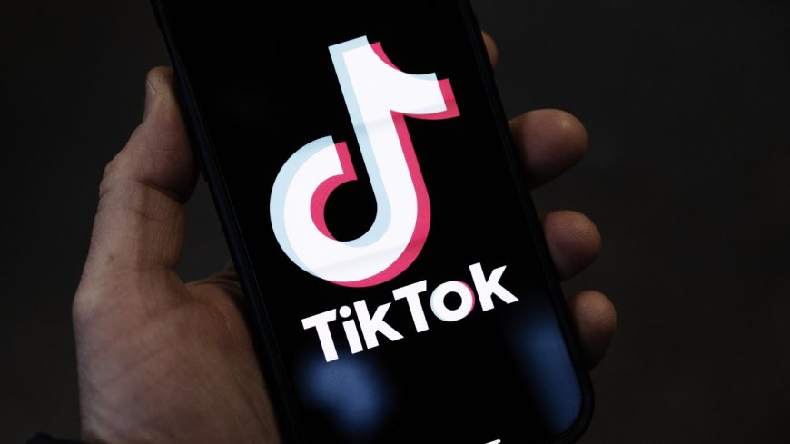 TikTok investigated over use of children's data